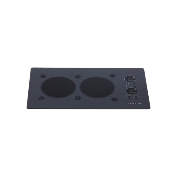 Stainless Steel 2 Burner with PUPS™ Landscape 120V