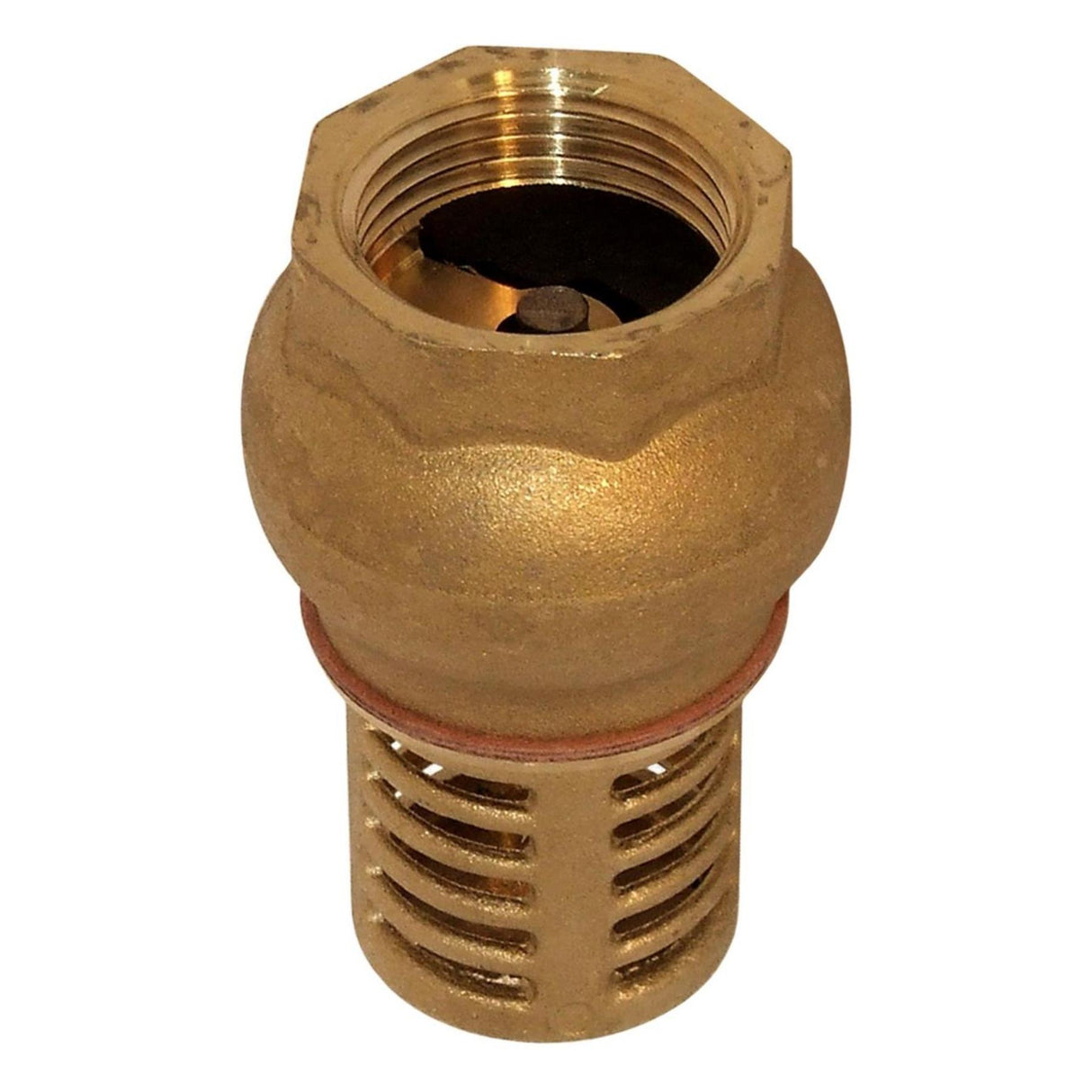 Maestrini Brass Foot Valve (1" BSP Female) - PROTEUS MARINE STORE