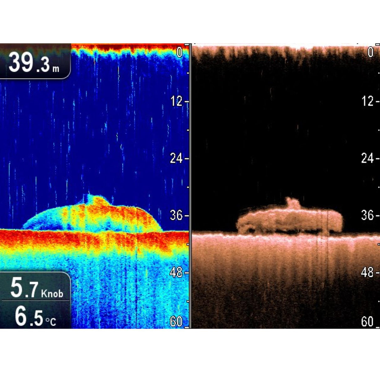 Raymarine CP100 DownVision Sonar-DownVision Fishfinder - PROTEUS MARINE STORE