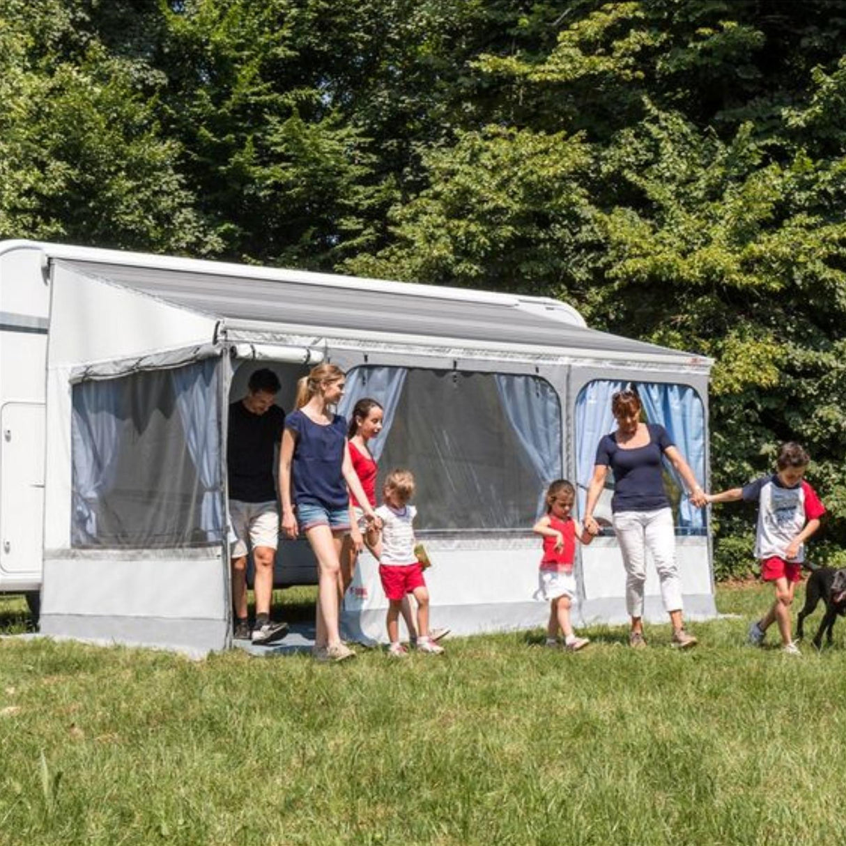 Fiamma Deep Black F45S 260 Awning Royal Grey Fabric