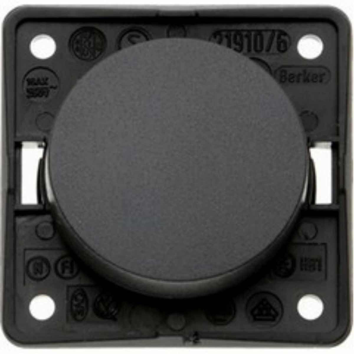 Berker Single 12V Switch