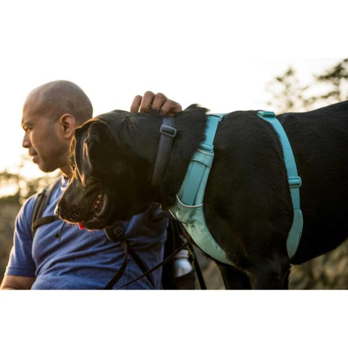 Ruffwear Front Range Dog Harness - River Rock Green (L / XL) 32 - 42 in