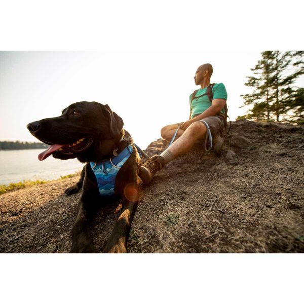 Ruffwear Front Range Dog Harness - Coastal Mountains Print (Small)
