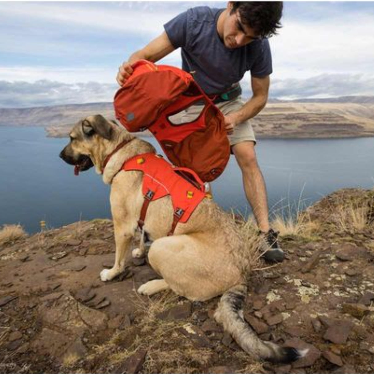Ruffwear Palisades Dog Backpack in Red Sumac (Medium) 27 to 32 inches