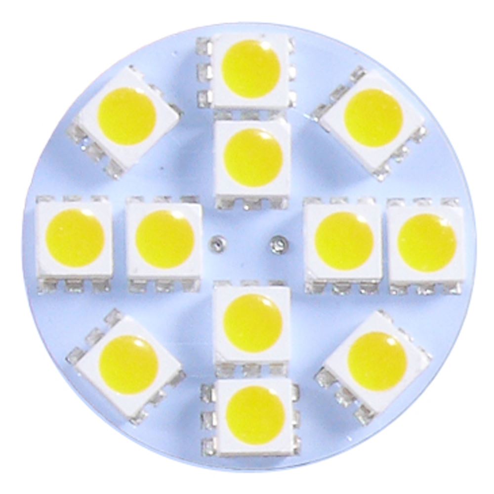 AAA G4 LED (12) Rear Pin Bulb 12V