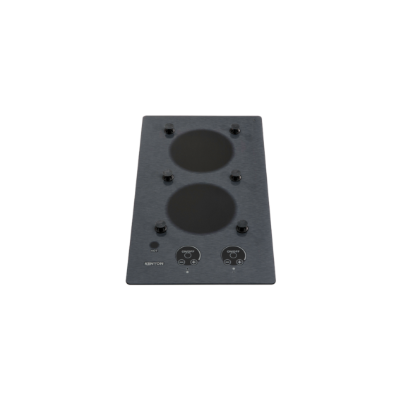 Stainless Steel 2 Burner with PUPS™ Portrait 120V