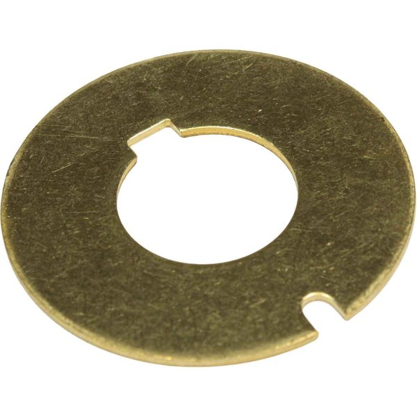 Johnson Wear Plate F5B 55mm Diameter - PROTEUS MARINE STORE