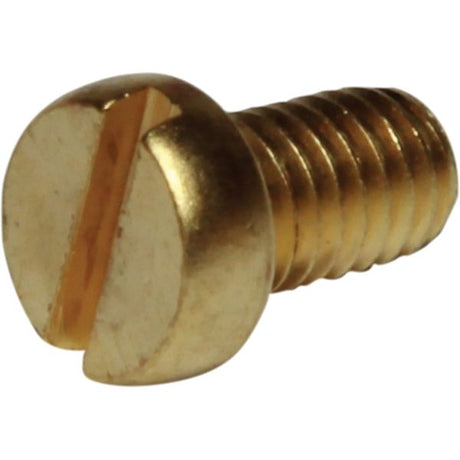 Johnson Brass Cam / End Plate Screw 01-46794-05 for F4B, F5B, F7B Pumps - PROTEUS MARINE STORE