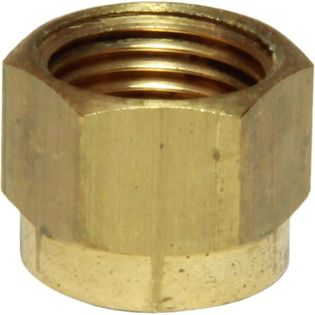 AG Brass Coupling Nut 1/8" Tube 1/8" BSP - PROTEUS MARINE STORE