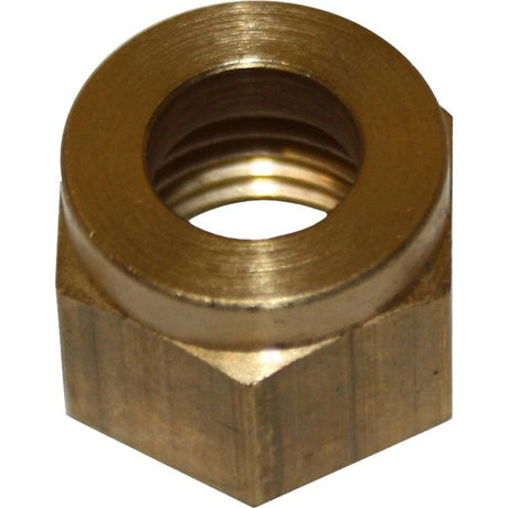 AG Brass Coupling Nut 5/16" Tube 1/4" BSP - PROTEUS MARINE STORE