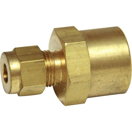 AG Brass Female Stud Coupling 3/16" - 1/4" BSP - PROTEUS MARINE STORE