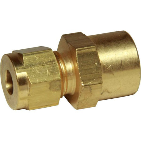 AG Brass Female Stud Coupling 1/4" - 1/4" BSP - PROTEUS MARINE STORE