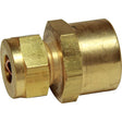 AG Brass Female Stud Coupling 3/8" - 1/2" BSP - PROTEUS MARINE STORE