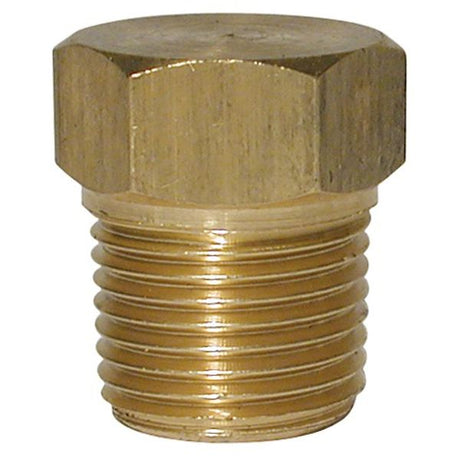 AG Screwed Brass Plug 1/8" BSP Taper Thread - PROTEUS MARINE STORE