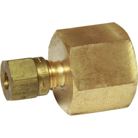 AG Brass Female Stud Coupling 4mm x 1/4" BSP - PROTEUS MARINE STORE