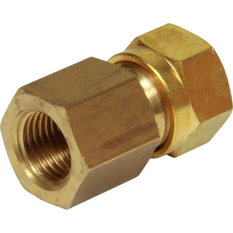 AG Brass Female Stud Coupling 10mm x 1/4" BSP - PROTEUS MARINE STORE