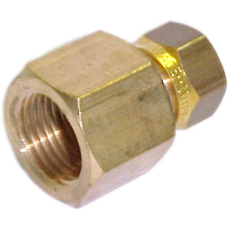 AG Brass Female Stud Coupling 10mm x 1/2" BSP - PROTEUS MARINE STORE