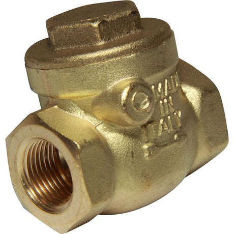 AG Swing Check Valve Brass 1-1/4" BSP Female - PROTEUS MARINE STORE