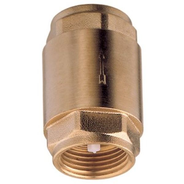 AG Spring Check Valve 1" BSP Female - PROTEUS MARINE STORE