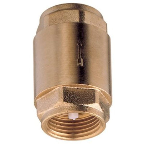 AG Spring Check Valve 1-1/4" BSP Female - PROTEUS MARINE STORE
