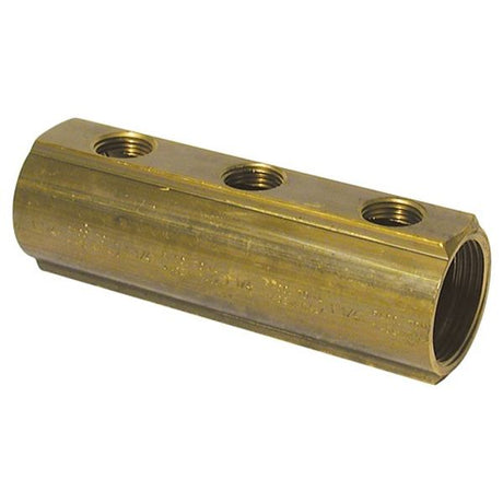 AG 1-1/4" BSP Brass Manifold 3x 1/2" Female Spurs - PROTEUS MARINE STORE