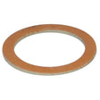 AG Fibre Washers Pack of 10 (3/4" BSP Male) - PROTEUS MARINE STORE