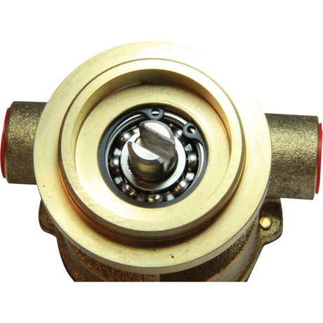 Johnson F4B-9 Engine Cooling Pump 3/8" BSP with Clamps (10-35098-4) - PROTEUS MARINE STORE