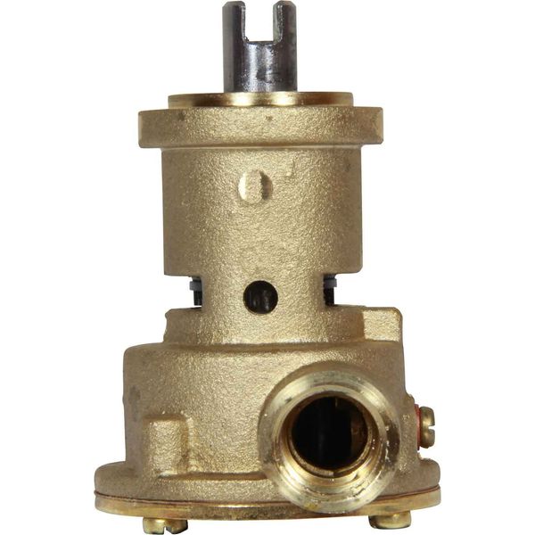 Johnson F35B-9 Flange Mount Engine Cooling Pump for Volvo, Bukh & More - PROTEUS MARINE STORE