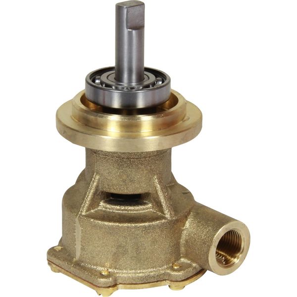 Johnson F4B-9 Pump Thorneycroft K3 Mitsubishi - PROTEUS MARINE STORE