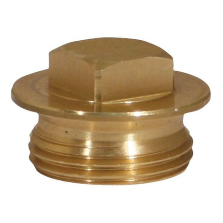 Volvo 1" Threaded Plug for 2-60716 Anode - PROTEUS MARINE STORE