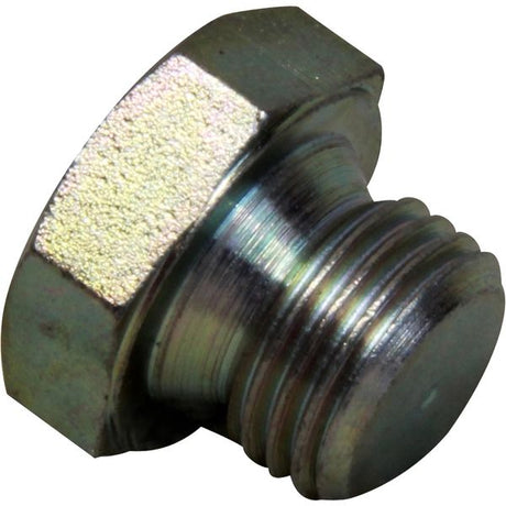 AG Blanking Plug for CAV Filters (1/2" UNF) - PROTEUS MARINE STORE