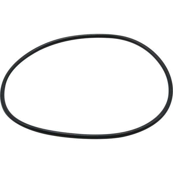 Maestrini O-Ring for 1-1/4" & 1-1/2" Venezia Strainers - PROTEUS MARINE STORE
