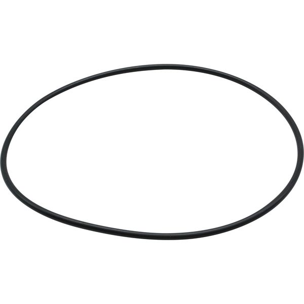 Maestrini O-Ring for 2" Venezia Strainers - PROTEUS MARINE STORE