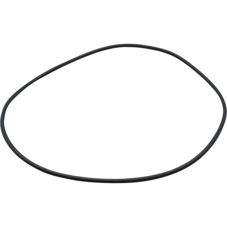 Maestrini O-Ring for 2-1/2", 3" & 4" Venezia Strainers - PROTEUS MARINE STORE