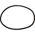 Maestrini Raw Water Intake Strainer O-Ring (3/4" & 1") - PROTEUS MARINE STORE