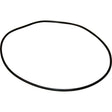 Maestrini Raw Water Intake Strainer O-Ring (2") - PROTEUS MARINE STORE