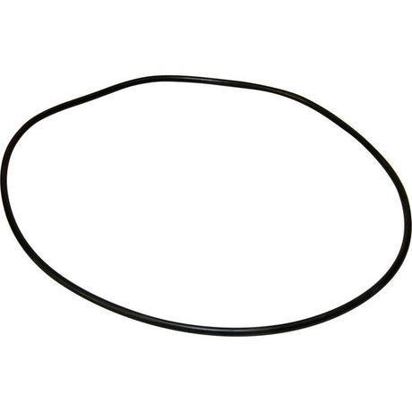 Maestrini Raw Water Intake Strainer O-Ring (2") - PROTEUS MARINE STORE