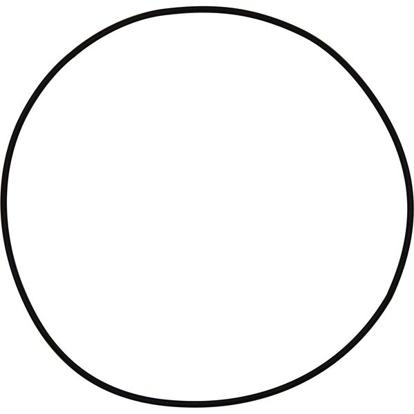 Maestrini Raw Water Intake Strainer O-Ring (2-1/2") - PROTEUS MARINE STORE