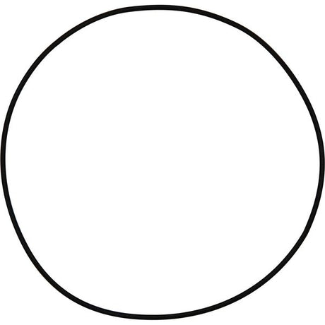 Maestrini Raw Water Intake Strainer O-Ring (2-1/2") - PROTEUS MARINE STORE