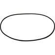 Maestrini Raw Water Intake Strainer O-Ring (4") - PROTEUS MARINE STORE