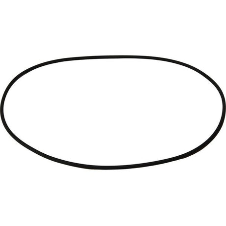 Maestrini Raw Water Intake Strainer O-Ring (4") - PROTEUS MARINE STORE
