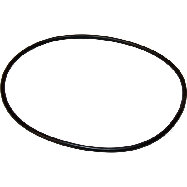 Maestrini Raw Water Intake Strainer O-Ring (1-1/4") - PROTEUS MARINE STORE