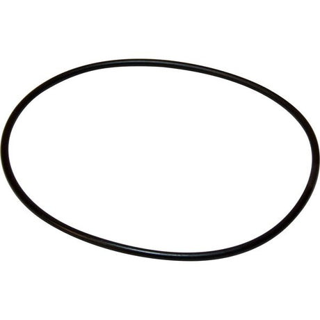 Maestrini Raw Water Intake Strainer O-Ring (1-1/2") - PROTEUS MARINE STORE