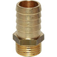 Maestrini Brass Straight Hose Tail (1/2" BSP Male to 20mm Hose) - PROTEUS MARINE STORE