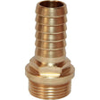 Maestrini Bronze Straight Hose Tail (3/4" BSP Male to 19mm Hose) - PROTEUS MARINE STORE