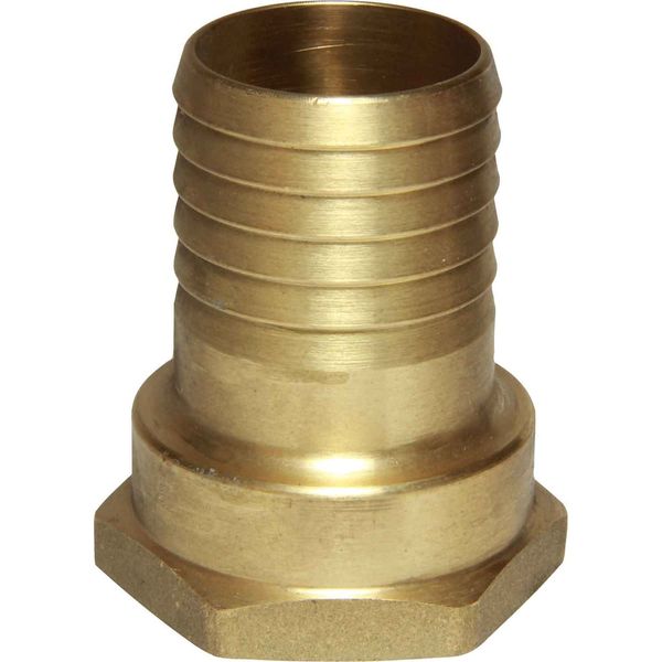 Maestrini Brass Straight Hose Tail (1-1/4" BSP Female to 35mm Hose) - PROTEUS MARINE STORE