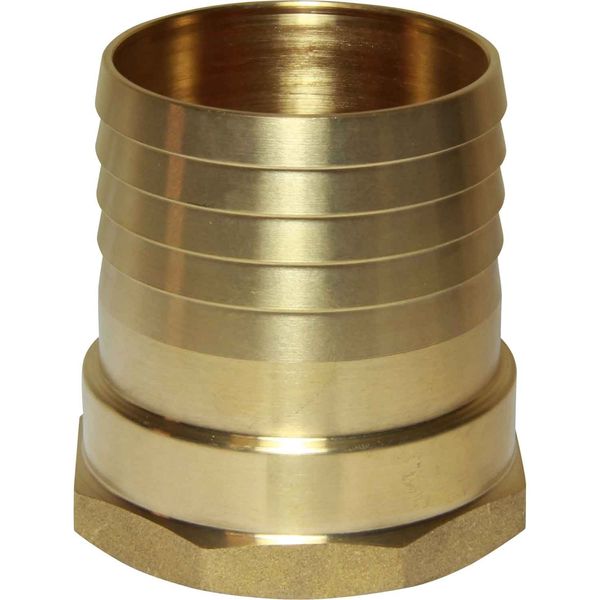 Maestrini Brass Straight Hose Tail (2" BSP Female to 60mm Hose) - PROTEUS MARINE STORE
