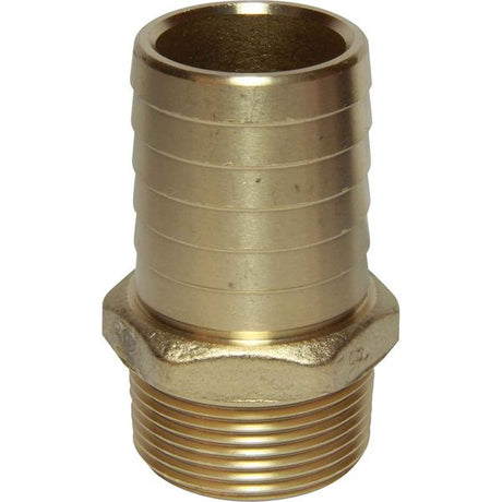 Maestrini DZR Straight Hose Tail (1-1/4" BSPT Male to 38mm Hose) - PROTEUS MARINE STORE