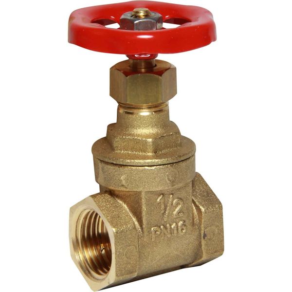 Maestrini Brass Gate Valve with Brass Body (1/2" BSP Female) - PROTEUS MARINE STORE