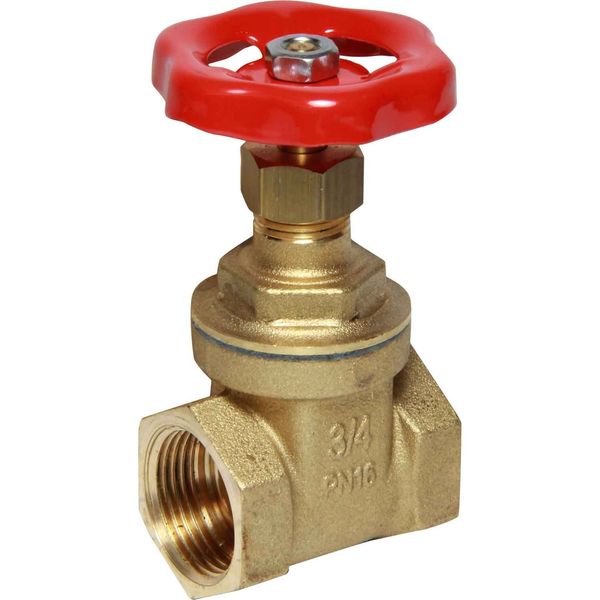 Maestrini Brass Gate Valve with Brass Body (3/4" BSP Female) - PROTEUS MARINE STORE